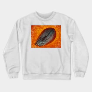 Strawberry "seed" (achene) under the microscope Crewneck Sweatshirt